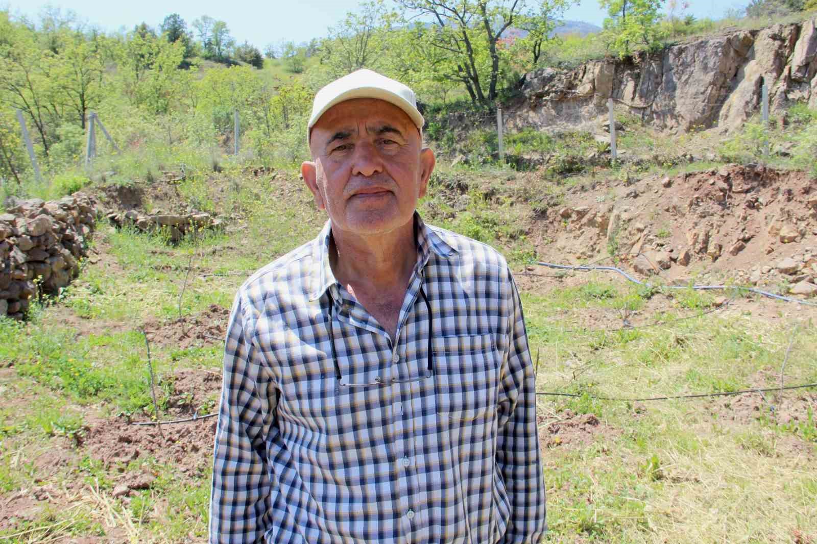 Ceviz ağa&ccedil;ları zirai dondan etkilenen ziraat m&uuml;hendisi &ccedil;&ouml;z&uuml;m&uuml; incirde buldu
