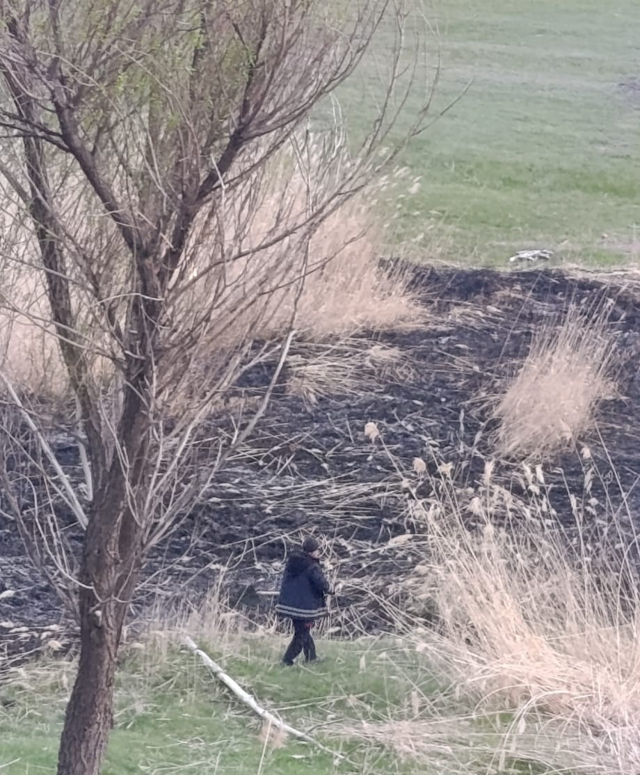 Van&rsquo;da sazlık alanda yangın
