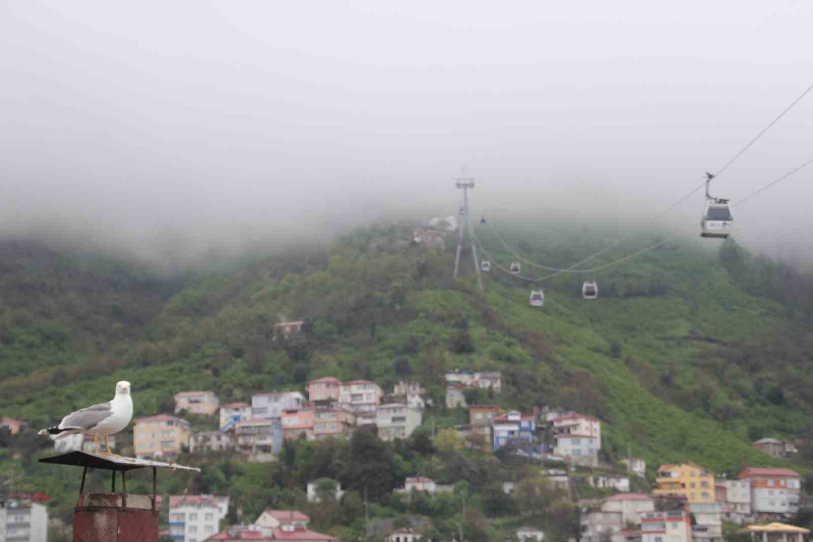 Boztepe sisle kaplandı
