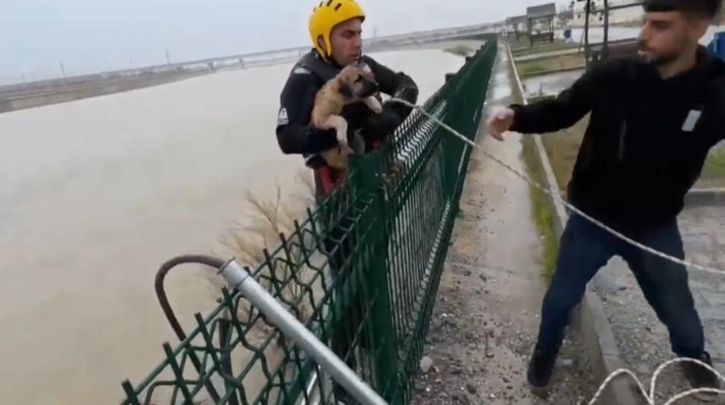 Batman Çayı’nda adacıkta mahsur kalan köpek kurtarıldı
