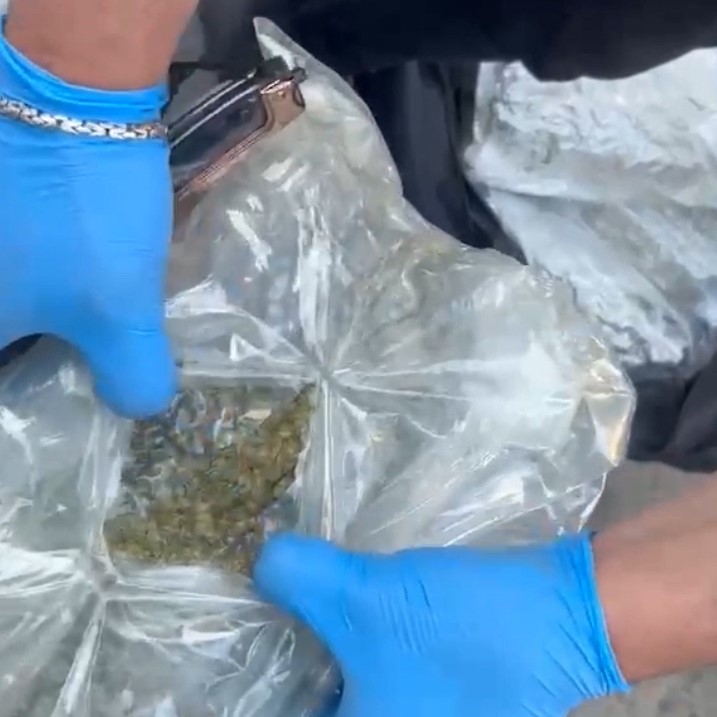 Edirne’de Moldova plakalı araçta 90 kilo skunk ele geçirildi
