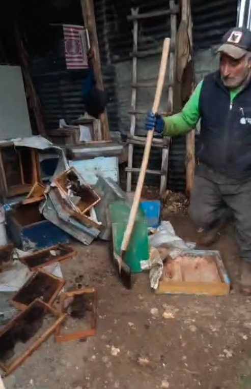 Bayburt&rsquo;ta iki farklı arılığı talan eden ayılar k&ouml;pek havlayınca ka&ccedil;tı
