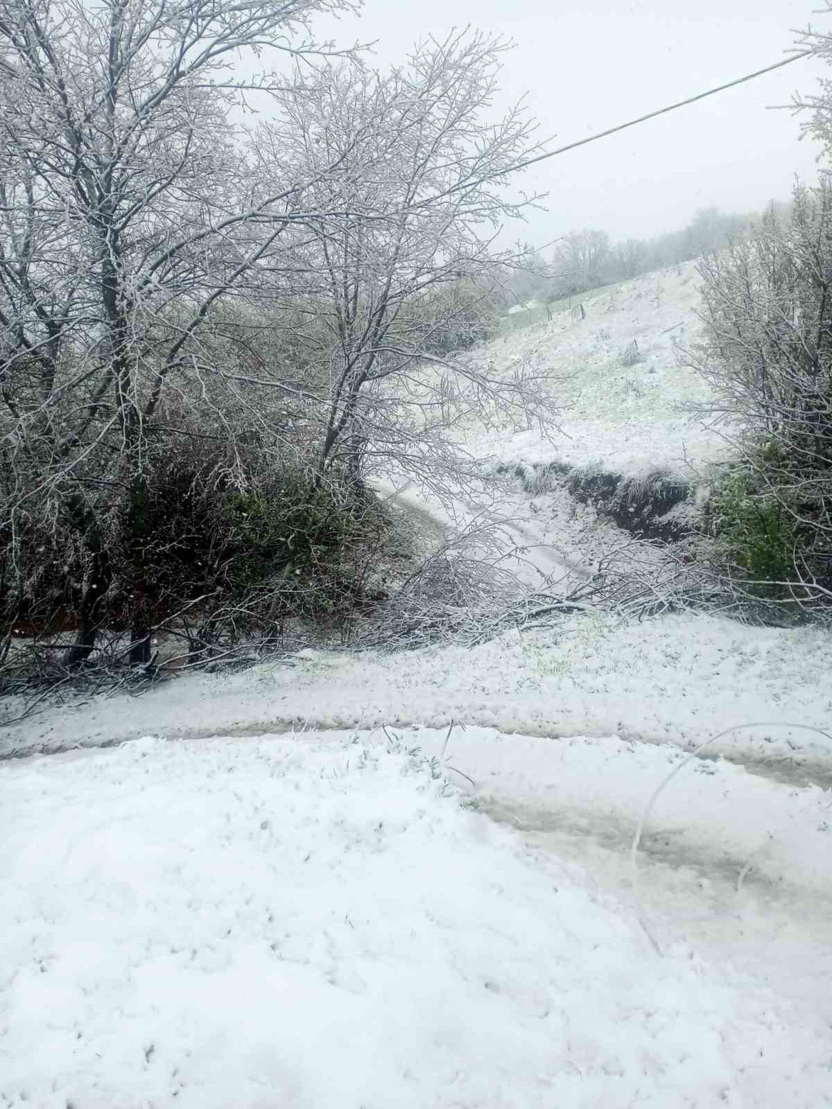 K&uuml;tahya&rsquo;da mayıs karı yağışı hayatı olumsuz etkiledi, &uuml;retici endişeli
