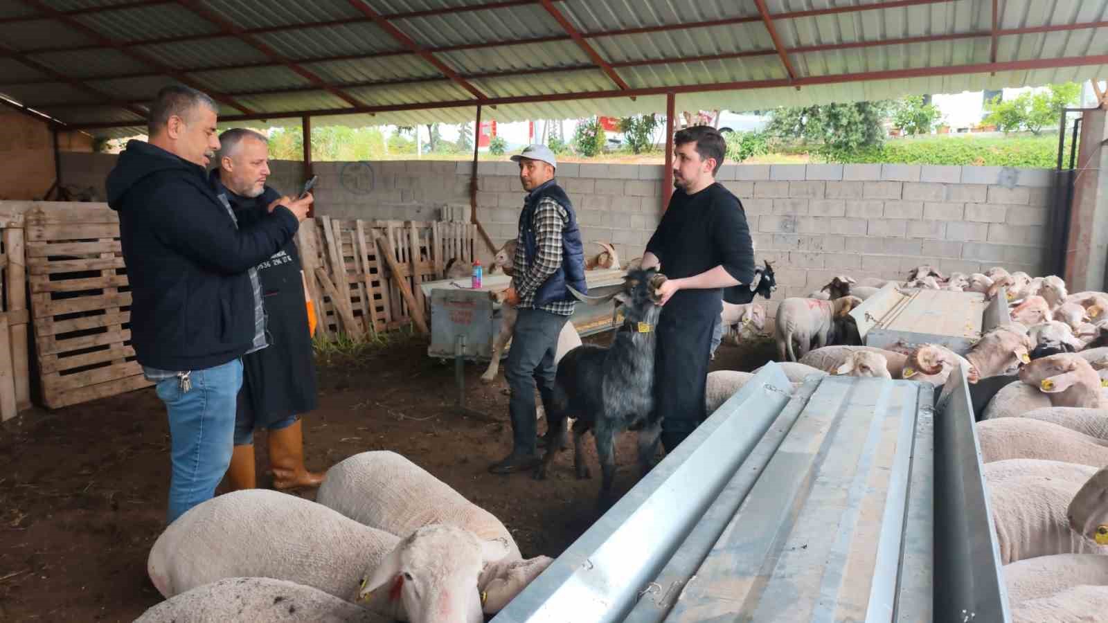 Kurbanlıklar satışa &ccedil;ıktı, pazarlıklar kızıştı
