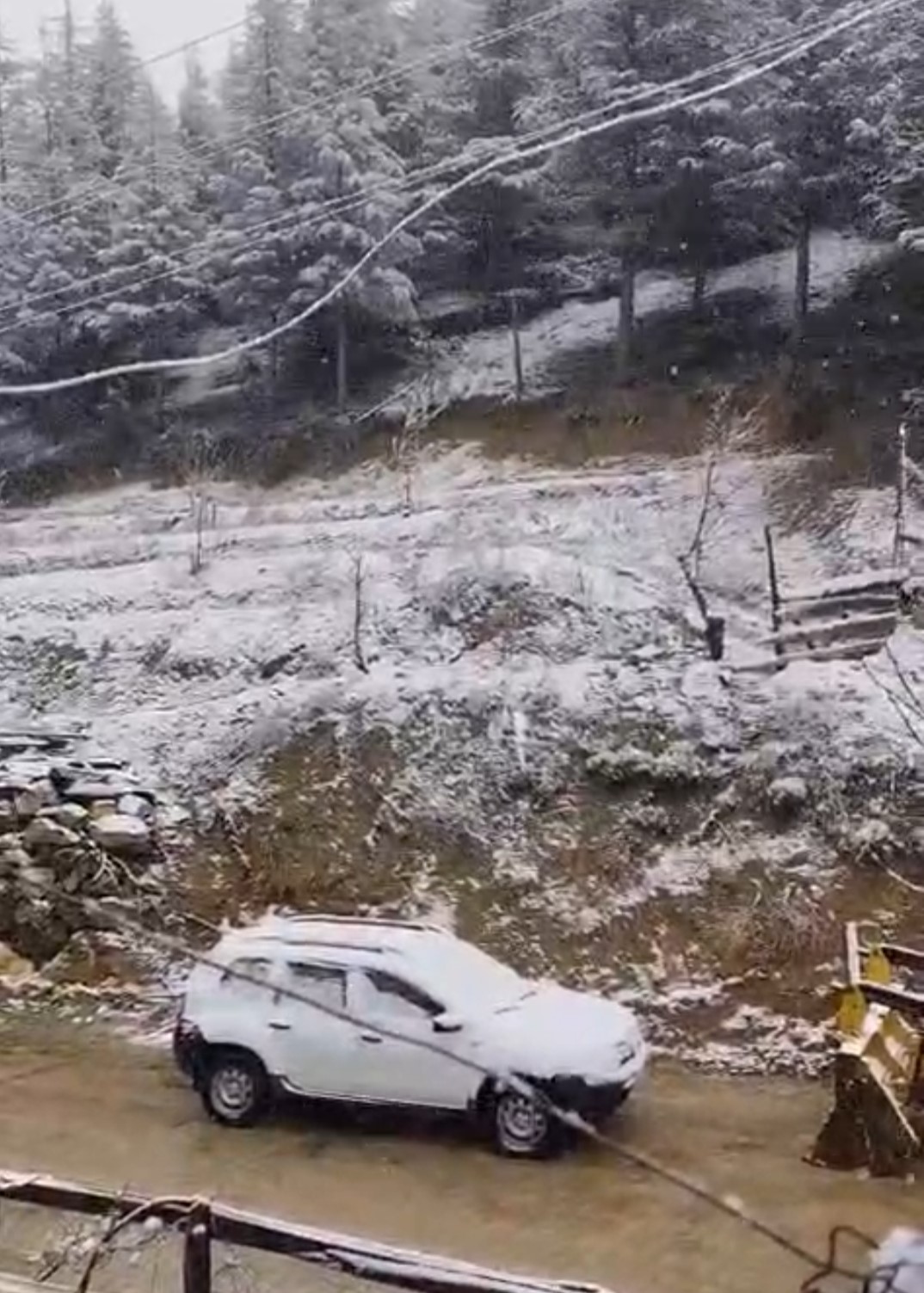 Adana&rsquo;da kiraz &ccedil;i&ccedil;ekleri karla kaplandı
