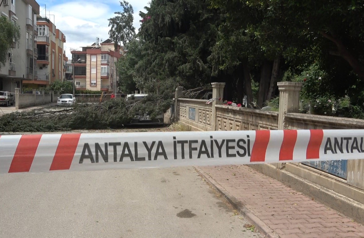 Antalya&rsquo;da mezarlıktaki ağa&ccedil; devrildi, park halindeki ara&ccedil; zarar g&ouml;rd&uuml;
