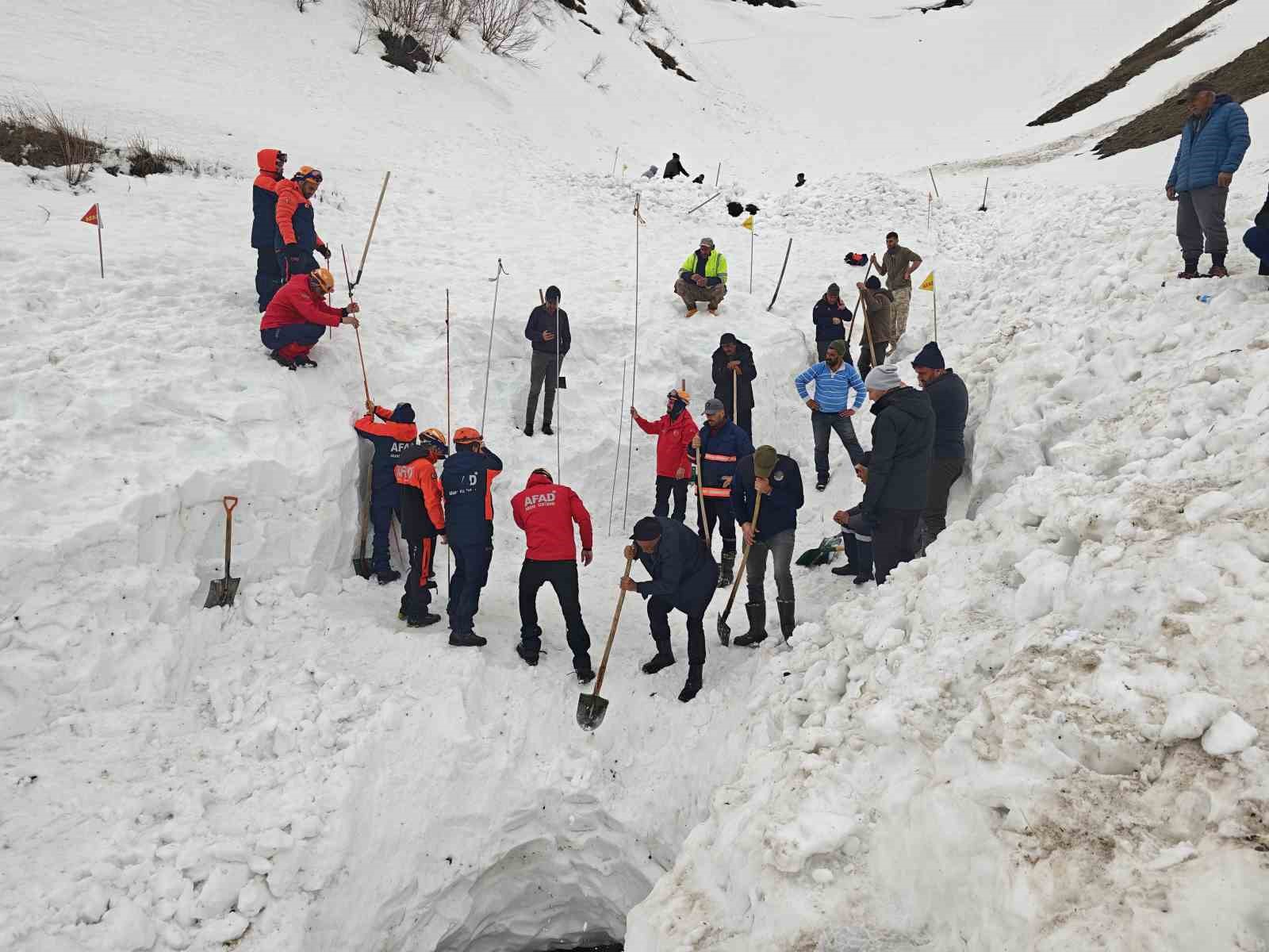 &Ccedil;ığ felaketinde kaybolan &ccedil;oban i&ccedil;in arama &ccedil;alışmaları yeniden başladı: 3 g&uuml;nde bir ize ulaşılamadı
