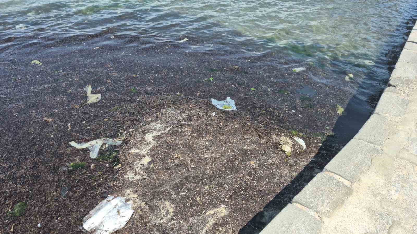Dat&ccedil;a&rsquo;da r&uuml;zgar etkili oldu
