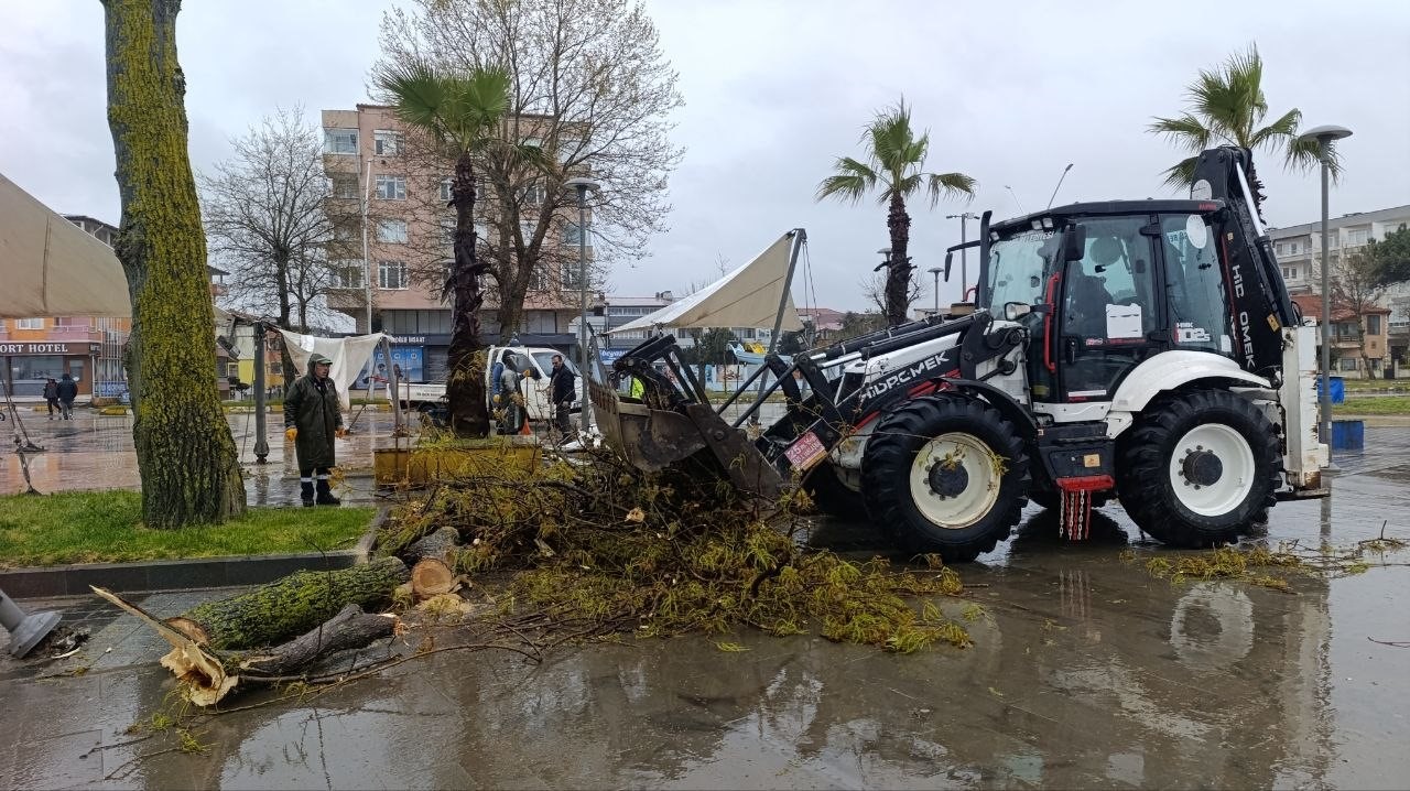 Sakarya&rsquo;da 25 metrelik kavak ağacı şiddetli r&uuml;zgara dayanamadı
