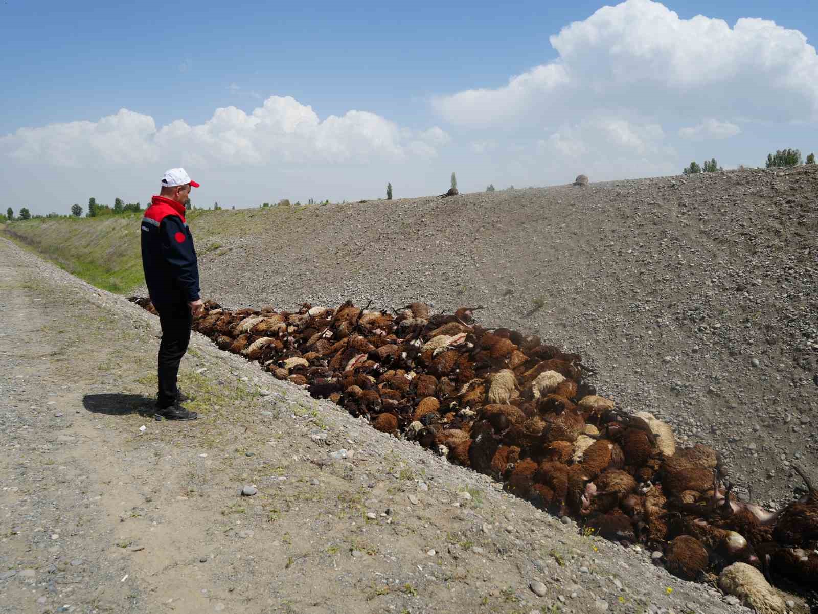 Iğdır&rsquo;daki arı saldırısının ardından b&ouml;lgede hasar tespiti s&uuml;r&uuml;yor
