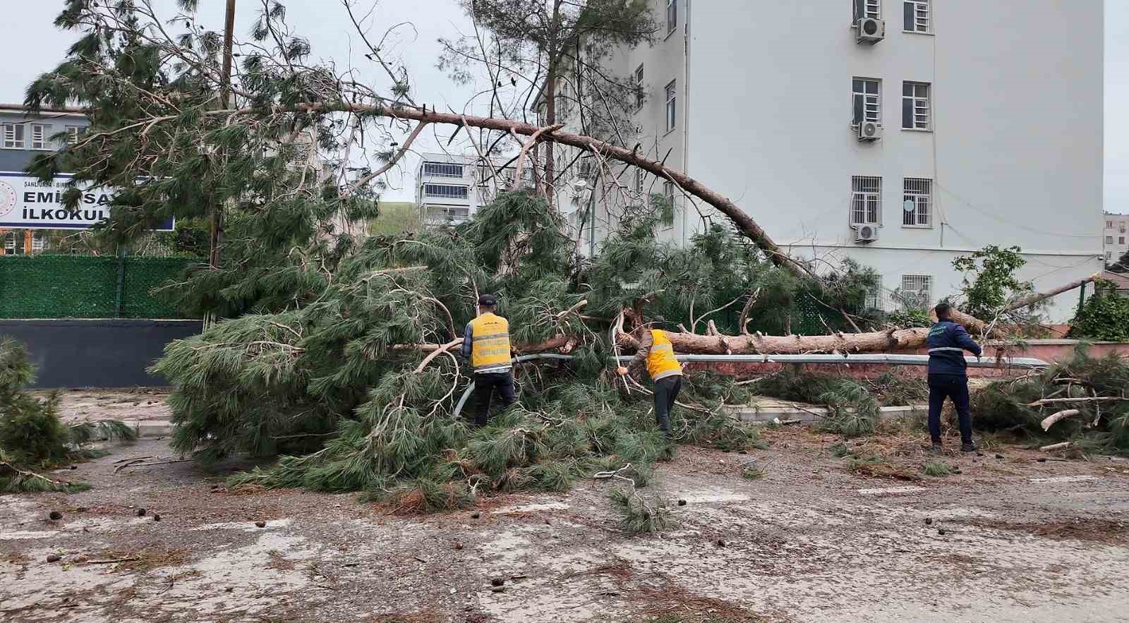Birecik’te afetin yaraları sarılıyor