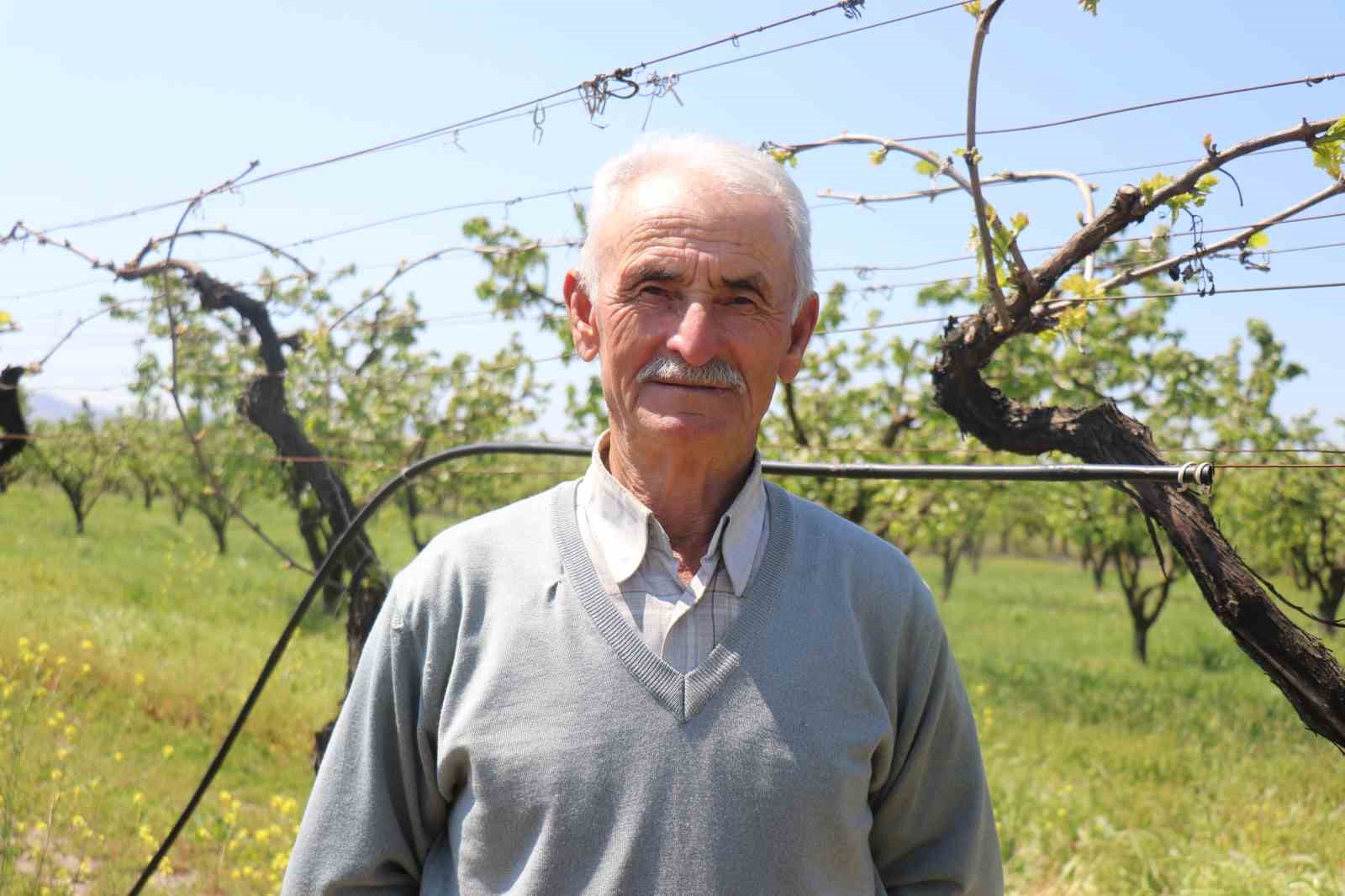 Çiftçi üzüm için yeni sezondan umutlu
