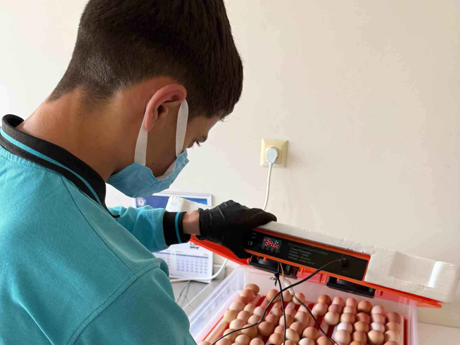 Maarifin kalbinde marifetli gen&ccedil;lik
