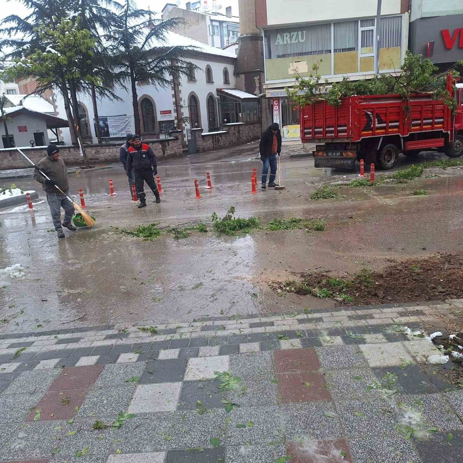 Karın ağırlığına dayanamayan ağa&ccedil;lar devrildi
