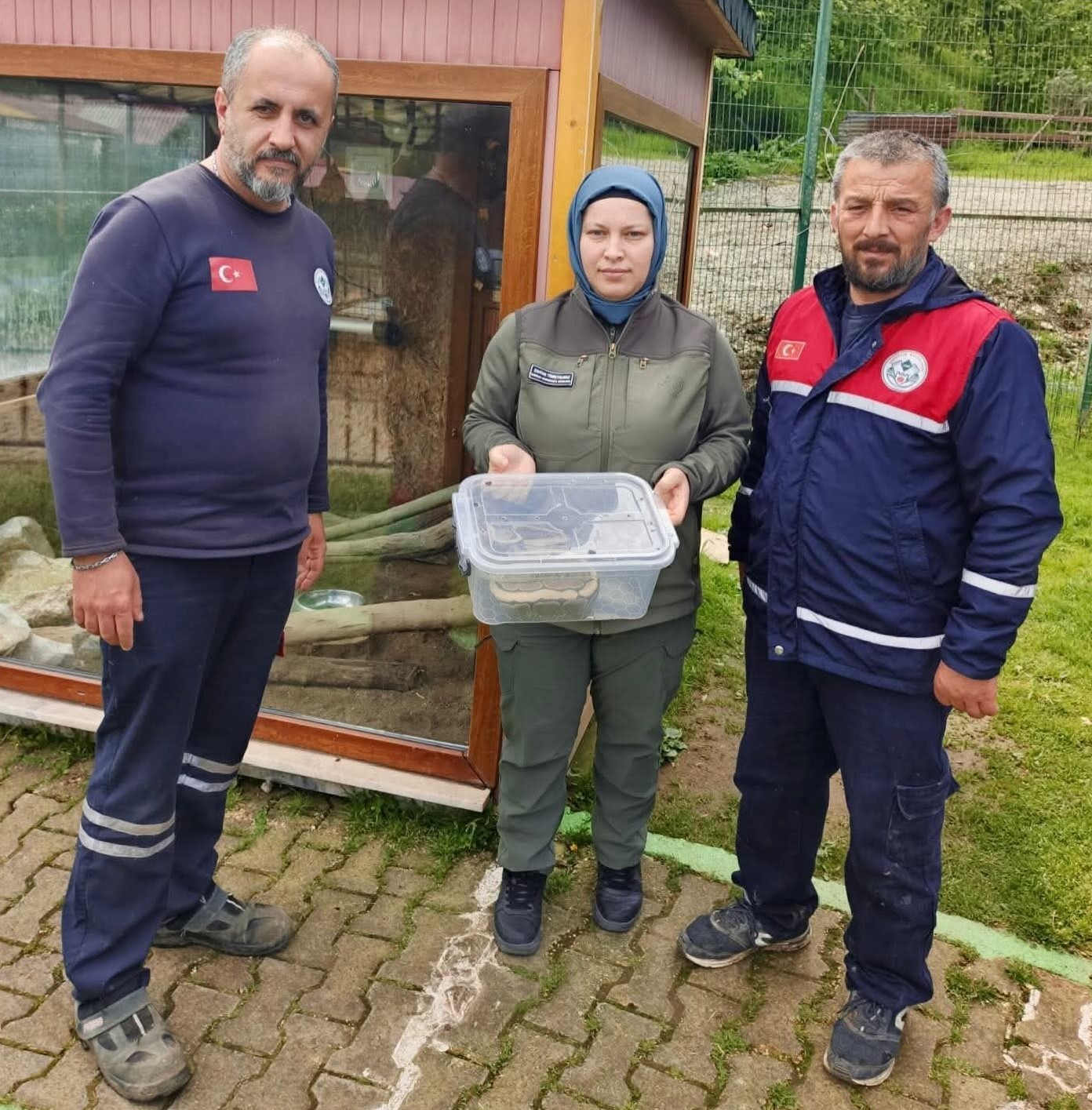 Ordu&rsquo;da yasa dışı bulundurulan piton ele ge&ccedil;irildi
