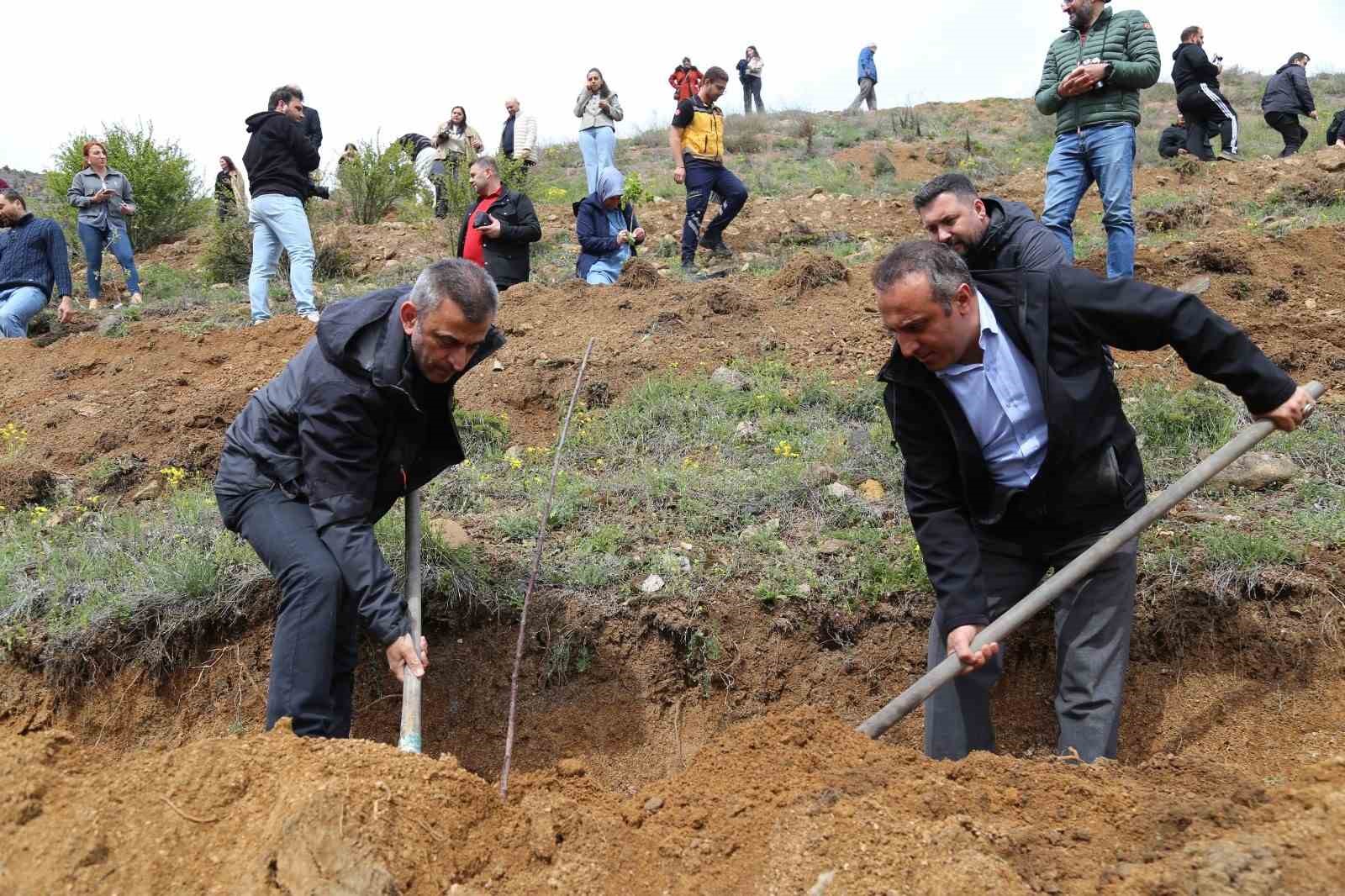 G&uuml;m&uuml;şhane &Uuml;niversitesi&rsquo;nde akademisyenler i&ccedil;in "meyve bah&ccedil;esi" oluşturuldu
