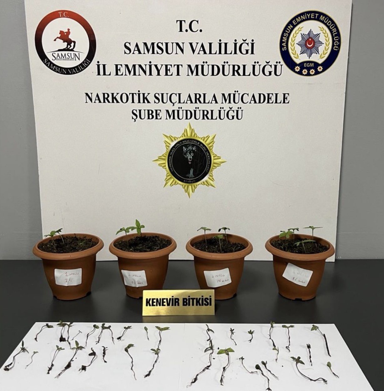 Samsun’da uyuşturucu operasyonu: 4 gözaltı