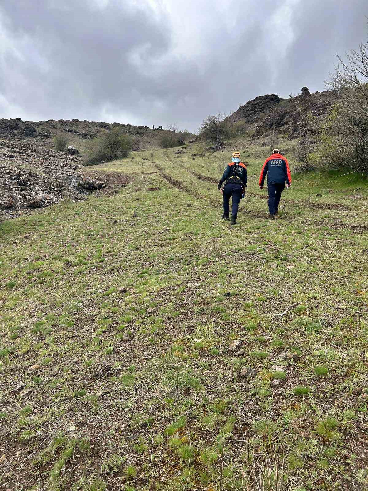 Sarp kayalıklarda mahsur kalan 2 ineği AFAD kurtardı
