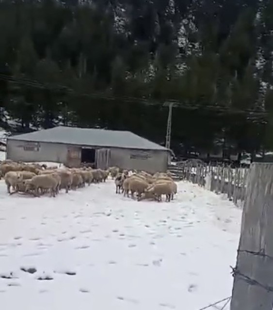 Kar kalınlığı 1 metreye ulaştı, mahsur kalan vatandaş kurtarıldı