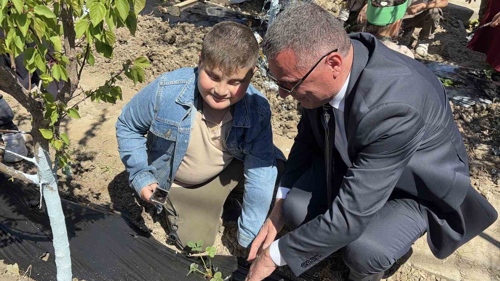 İlkokul &ouml;ğrencileri, &ccedil;ilek fidelerini toprakla buluşturdu
