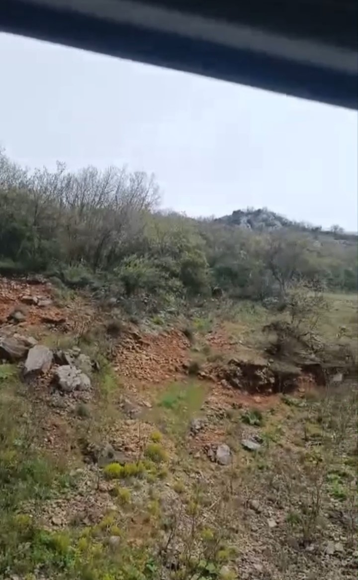 Orhaneli yolunda ayı paniği kamerada
