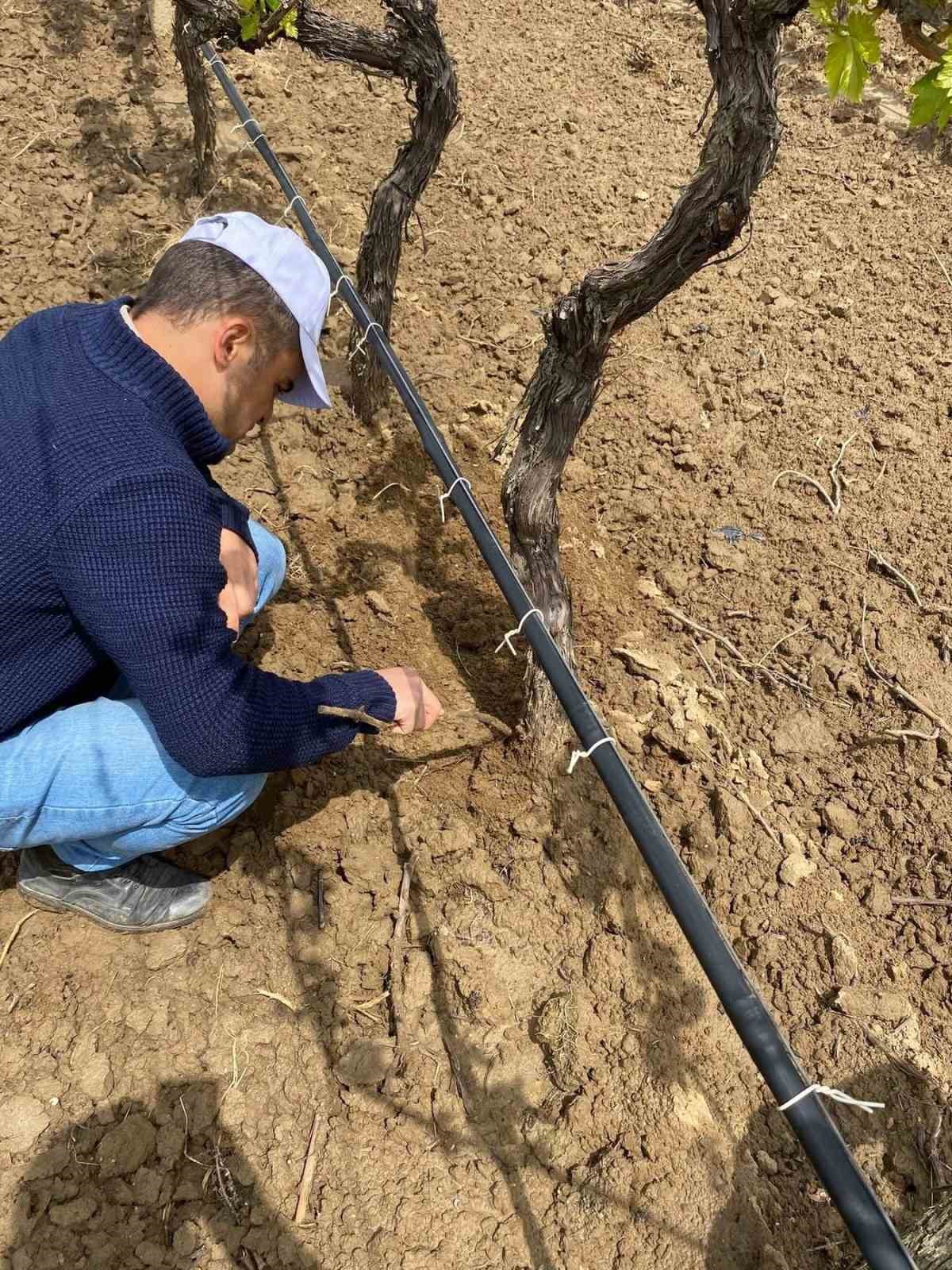 Yağış sonrası sıcaklık artışı hastalık riskini zirveye taşıdı
