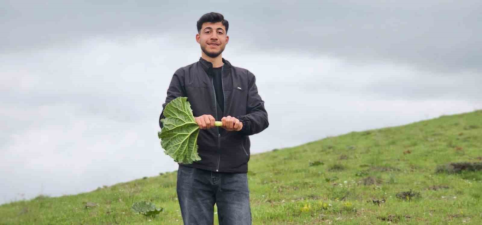 Muş&rsquo;ta "Yayla muzu" mesaisi başladı
