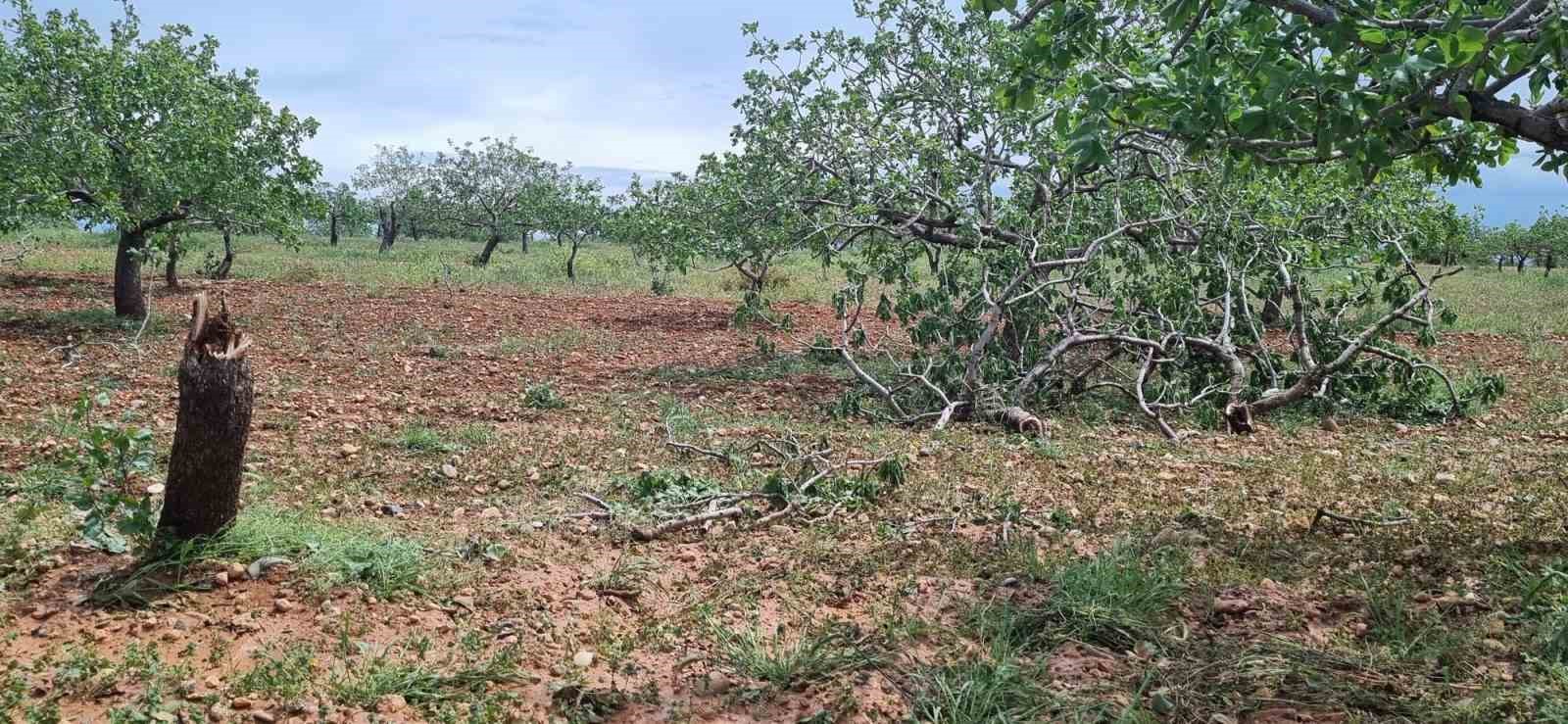 Gaziantep’te ‘süper hücre’ tarım alanlarını vurdu