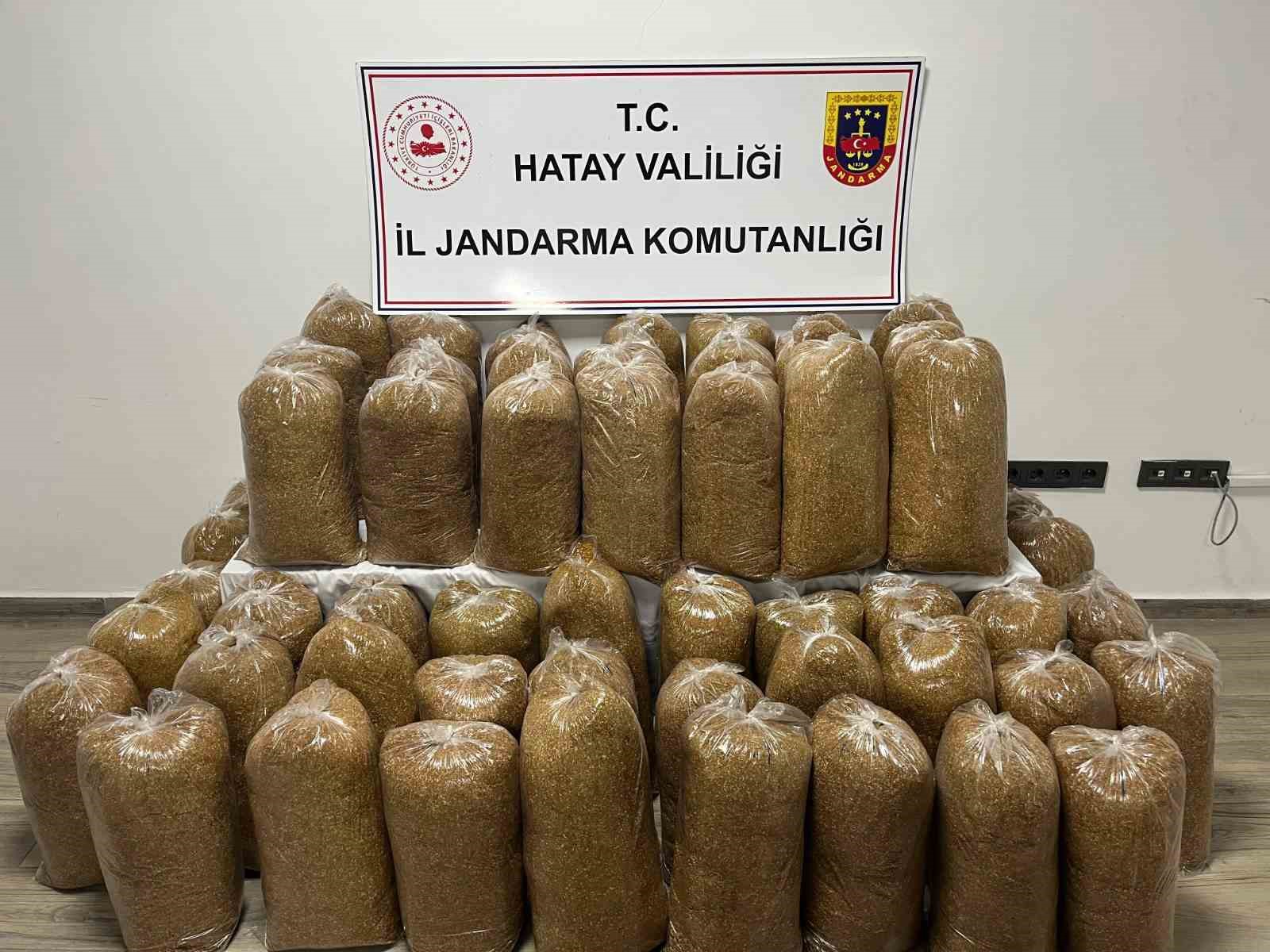 Hatay’da Jandarma’dan geniş çaplı asayiş operasyonu
