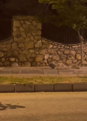 Elazığ&rsquo;da a&ccedil; kalan tilki tavuğu b&ouml;yle g&ouml;t&uuml;rd&uuml;
