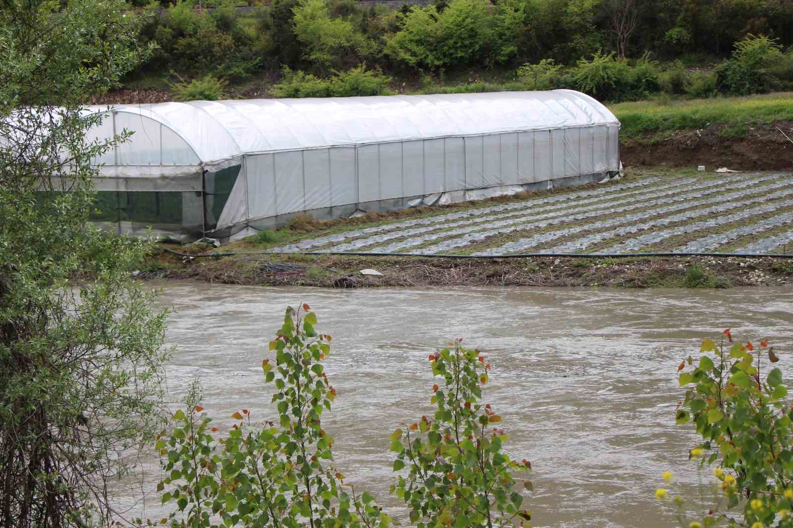 &Ccedil;ift&ccedil;inin taşkın n&ouml;beti: Arazisindeki bitkiler Yeşilırmak&rsquo;tan sızan suyun altında kaldı
