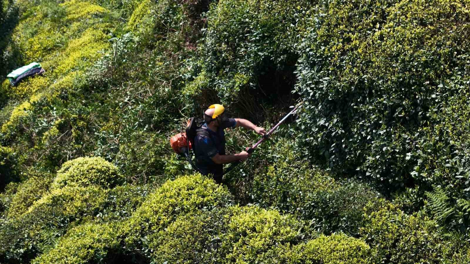 Yaş &ccedil;ay sezonuna sayılı g&uuml;nler kala &uuml;reticiler hazırlıklarını s&uuml;rd&uuml;r&uuml;yor

