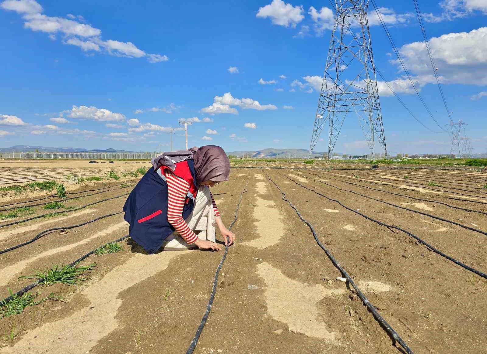 Tarım arazilerinde kontroller s&uuml;r&uuml;yor
