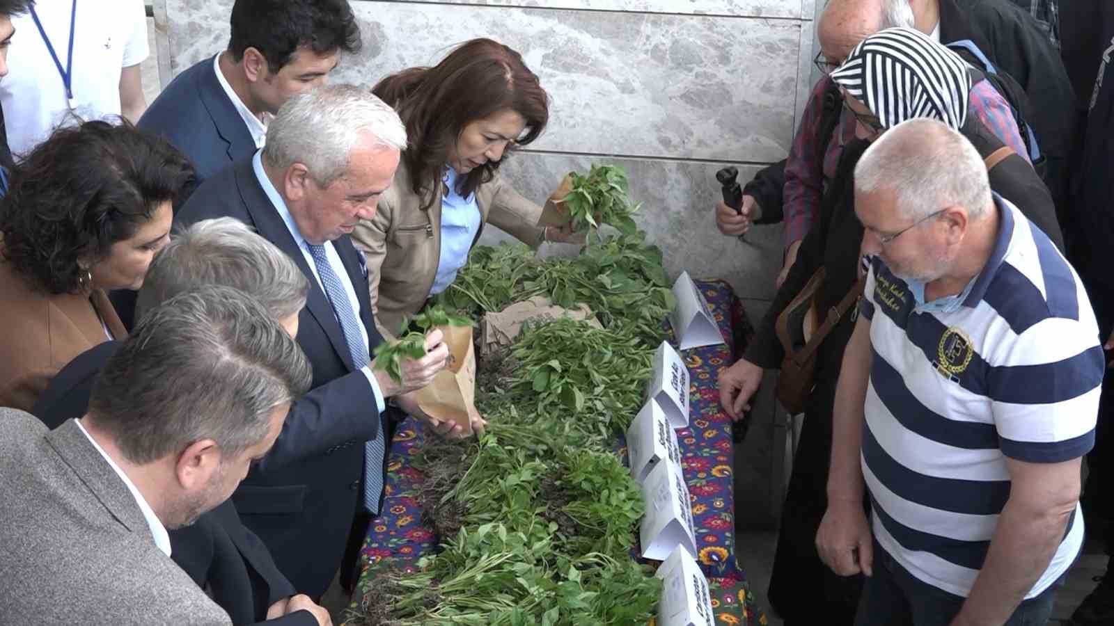 Bursa&rsquo;da &uuml;cretsiz fide izdihamı
