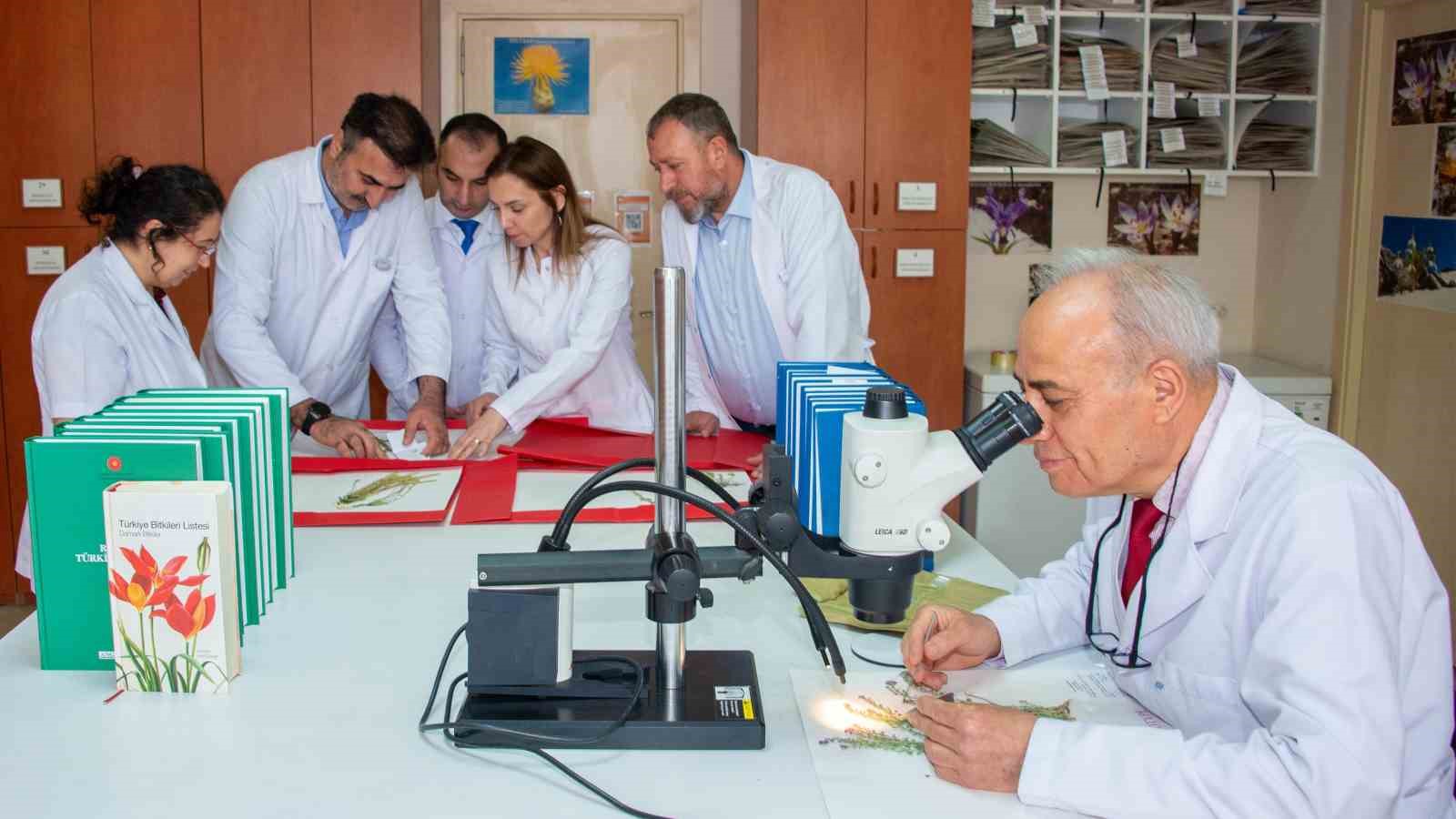 Sel&ccedil;uk &Uuml;niversitesi akademisyenleri 4 yeni bitki t&uuml;r&uuml; keşfetti
