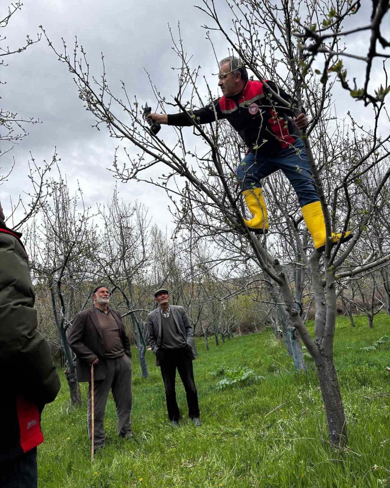 Otlukbeli&rsquo;nde &uuml;reticilere meyve ağa&ccedil;larında budama eğitimi
