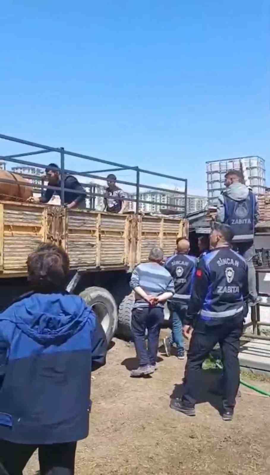 Sincan Belediyesinden kaçak ahırlara denetim