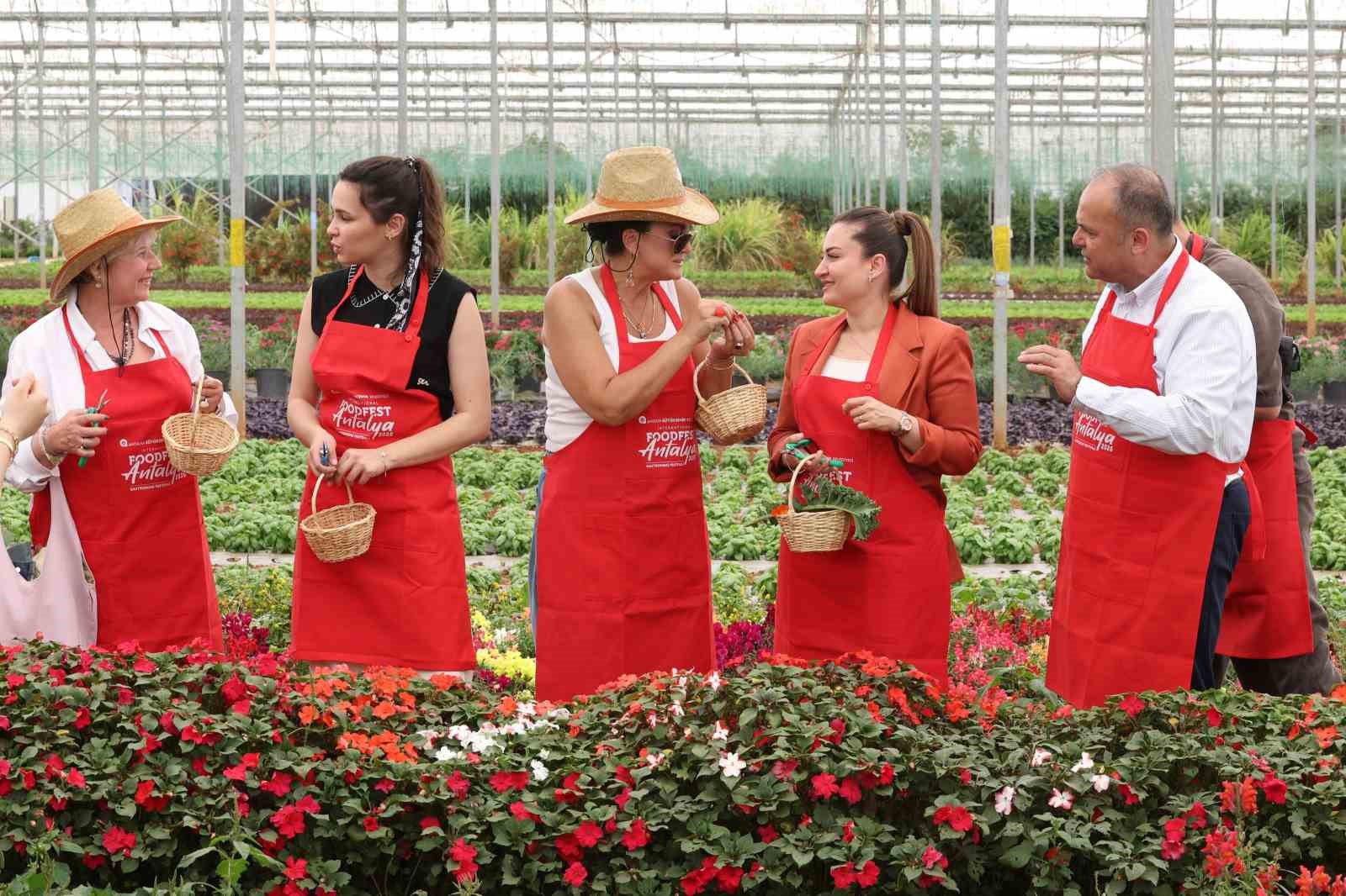 5. Uluslararası Antalya FoodFest Gastronomi Festivali Akdeniz yeşillikleri hasadıyla başladı
