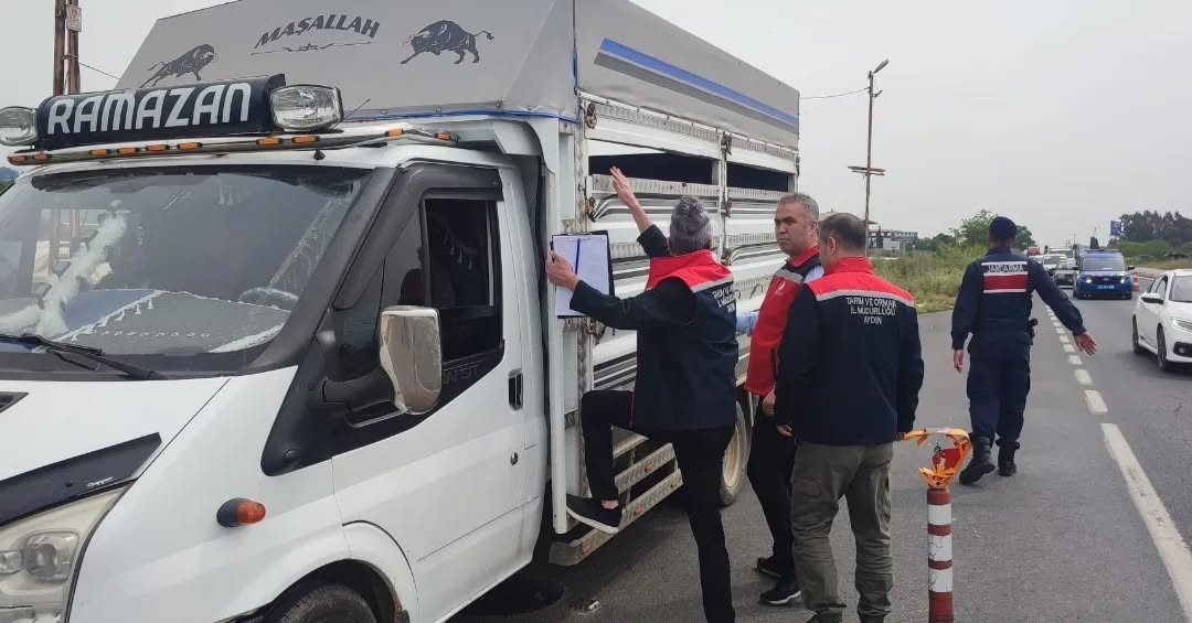 Aydın’da Kurban Bayramı öncesi yol denetimleri artırıldı