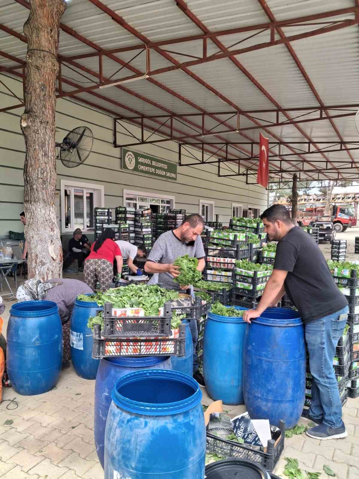 Taze bağ yaprağı aile ekonomisine can suyu oldu
