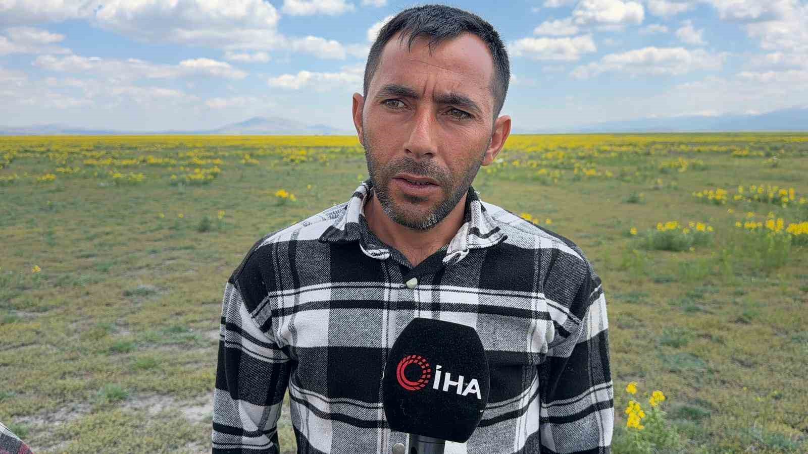 Bu &ccedil;i&ccedil;eği koparmanin cezası yaklaşık 700 bin TL
