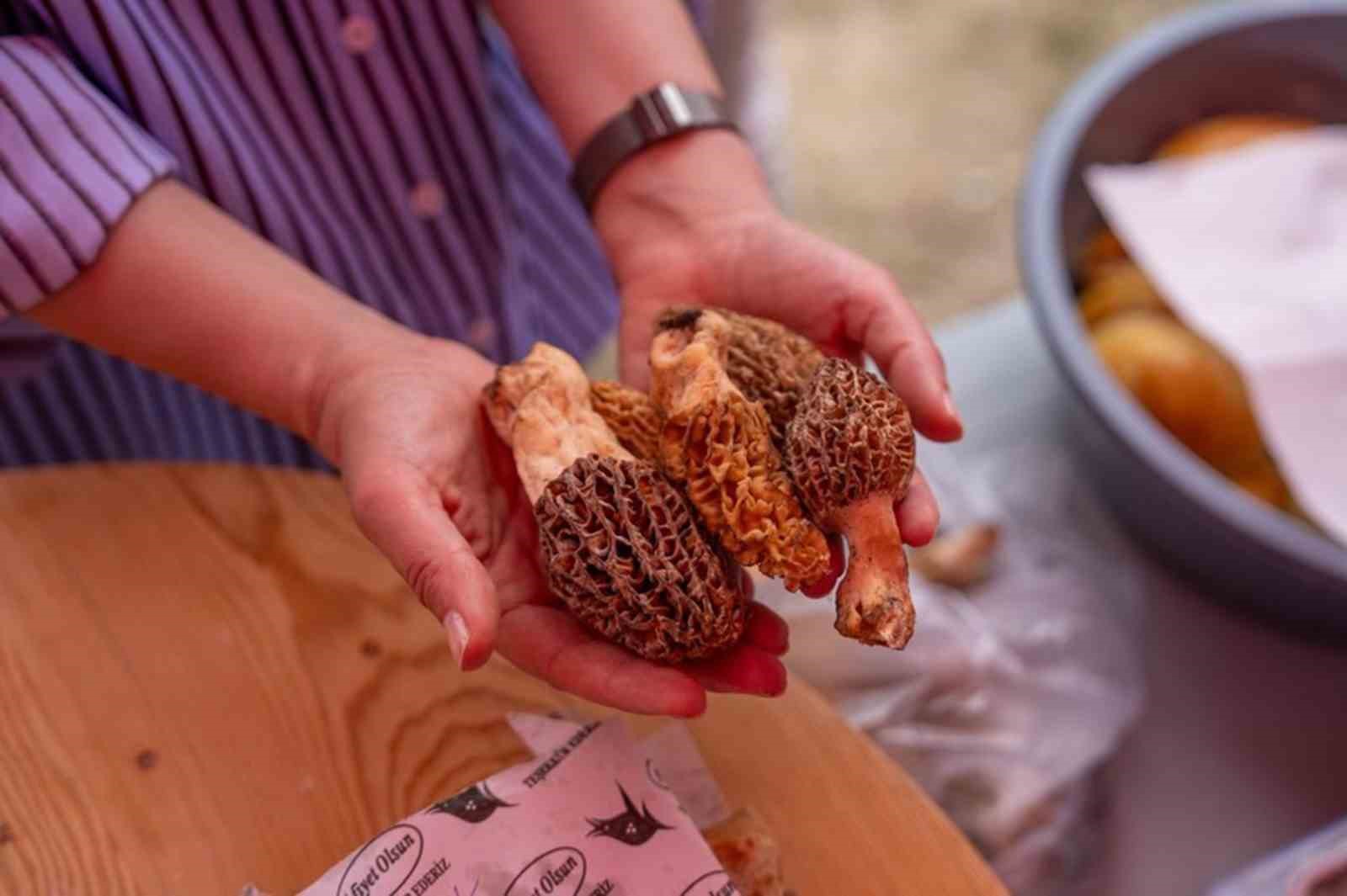 Yemişendere’de 1. Kuzugöbeği Festivali