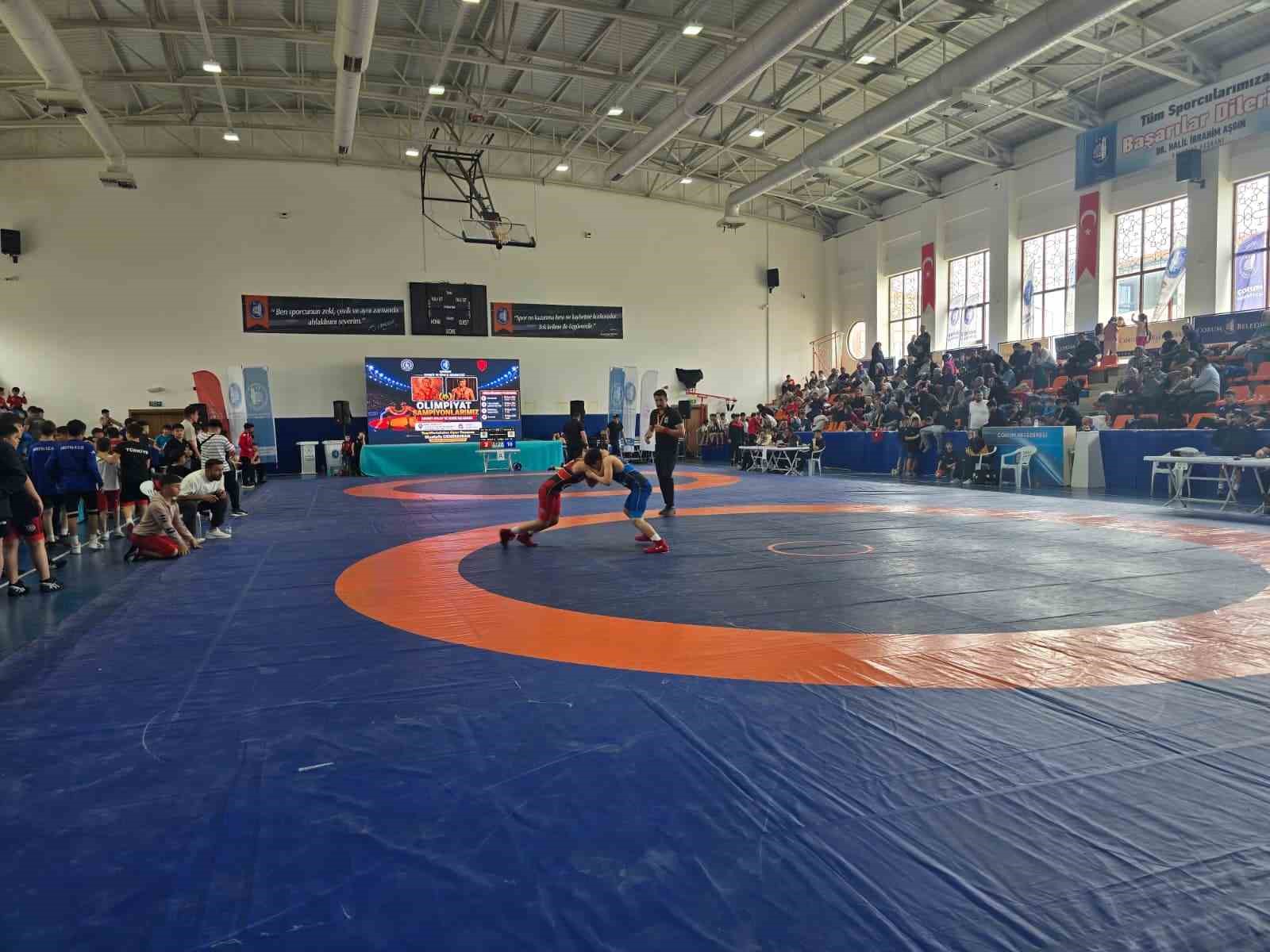 Olimpiyat şampiyonları anısına g&uuml;reş turnuvası d&uuml;zenlendi
