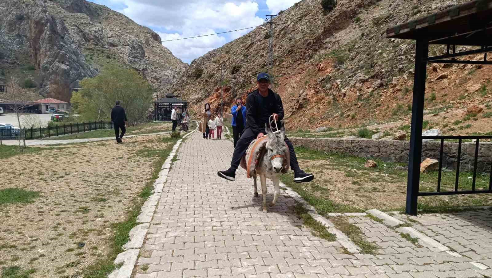 Homurlu&rsquo;da eşek turları başladı
