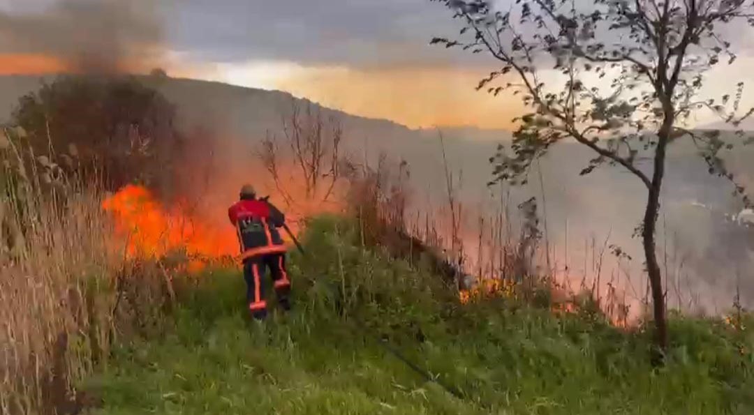 Elazığ’da otluk alanda yangın