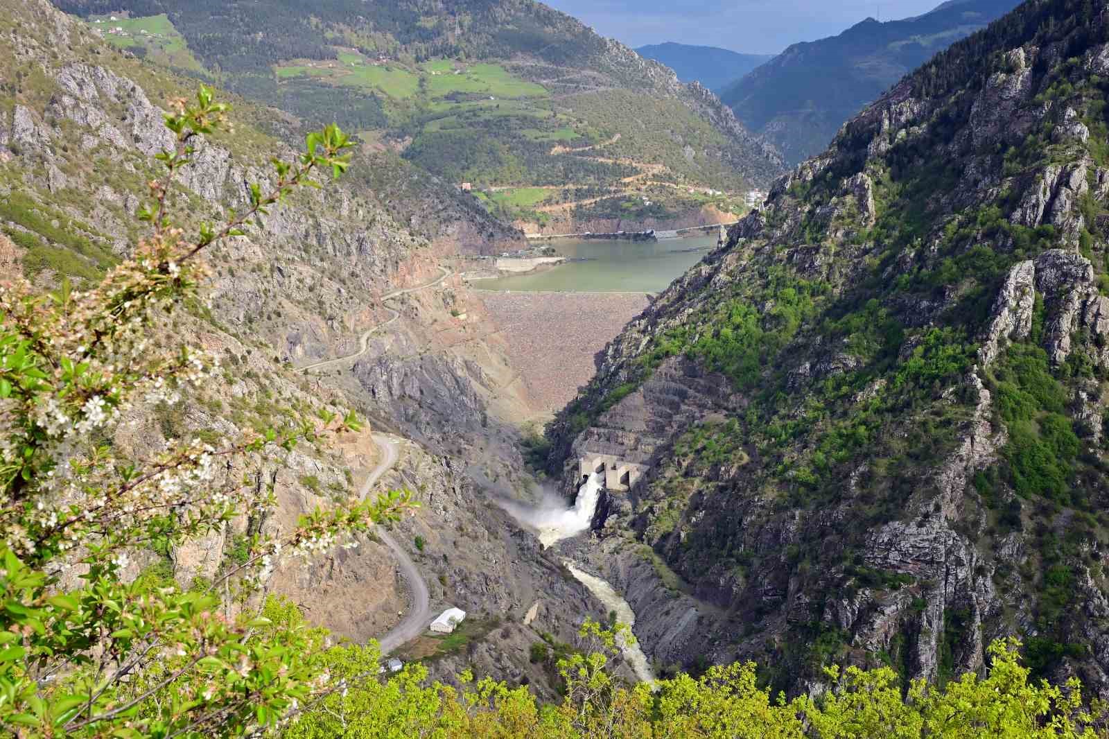 Kar kütlelerinden bahar çiçeklerine yürüdüler