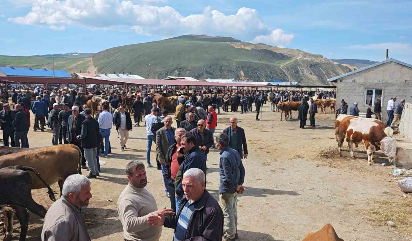 Kurban pazarlarında hareketlilik başladı
