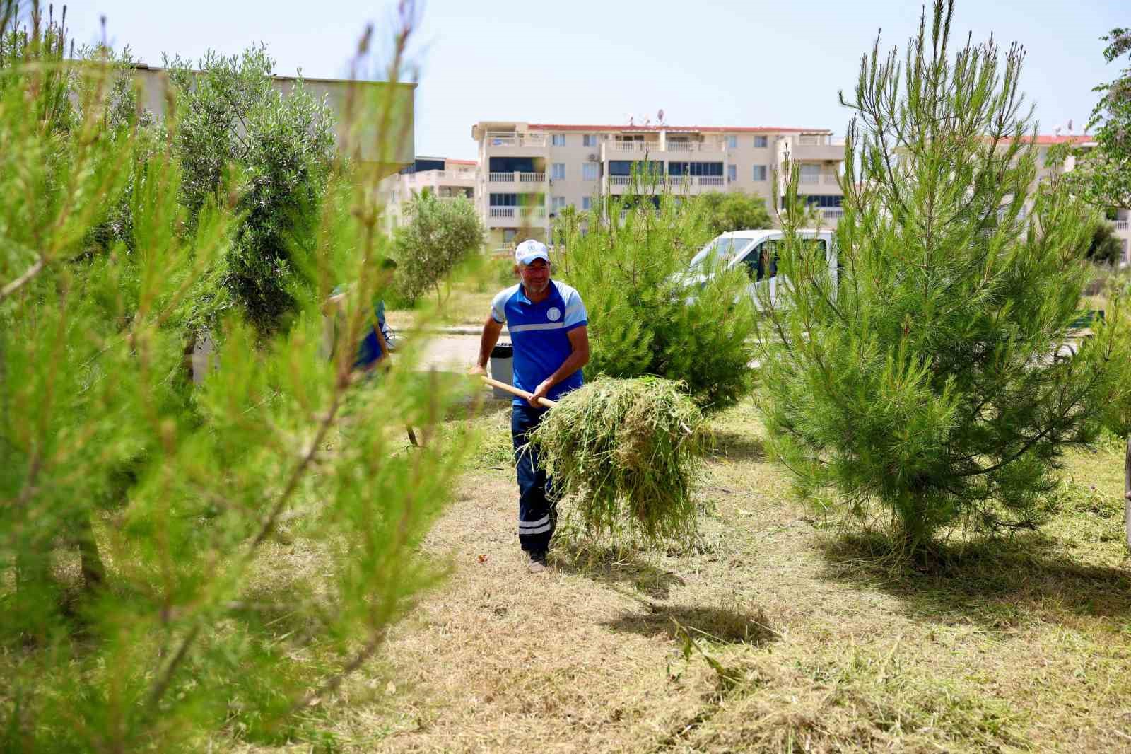 Didim Belediyesi&rsquo;nden okullarda ot bi&ccedil;me ve &ccedil;evre d&uuml;zenleme &ccedil;alışması
