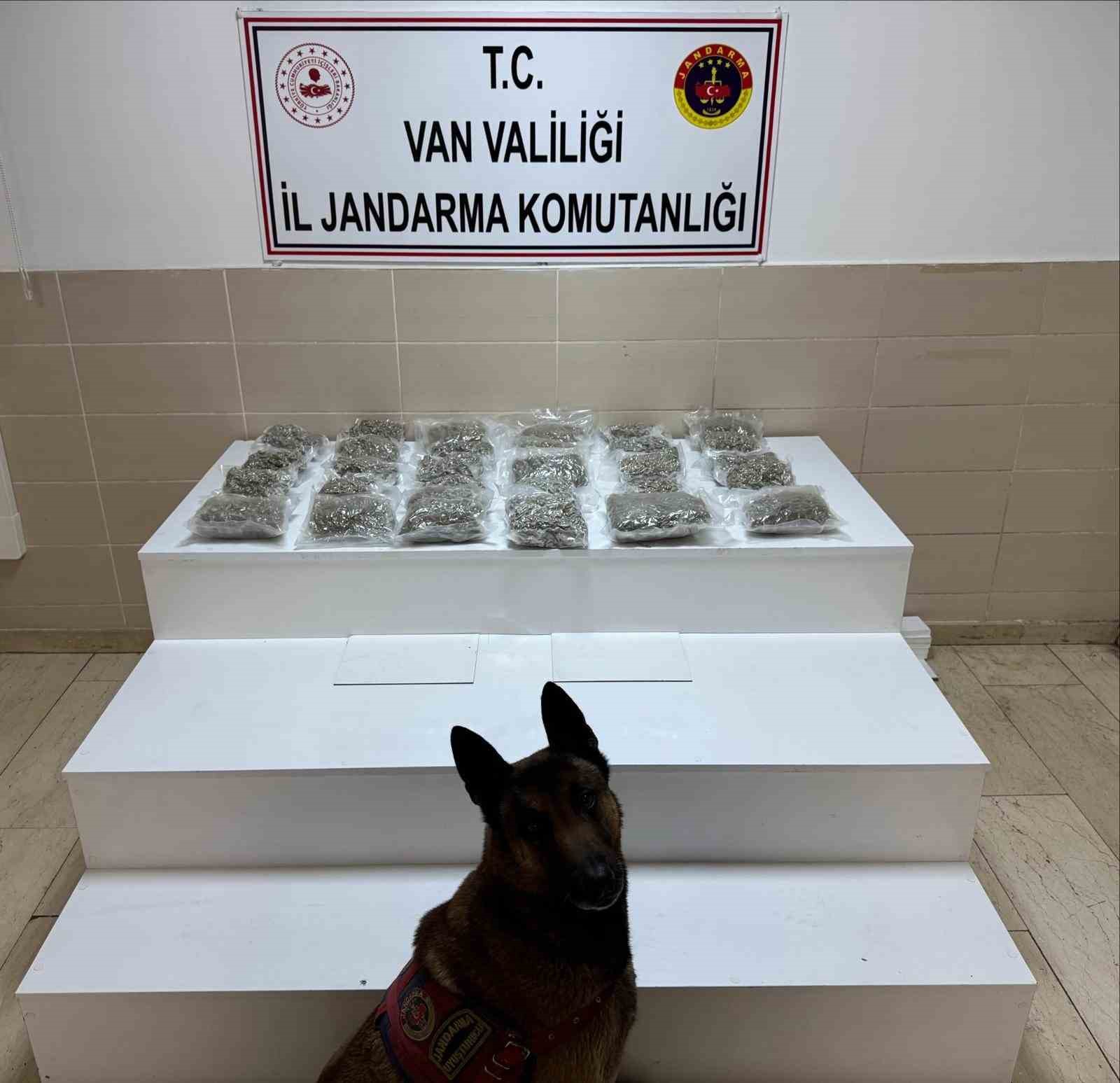 Van&rsquo;da yarım tona yakın uyuşturucu ele ge&ccedil;irildi
