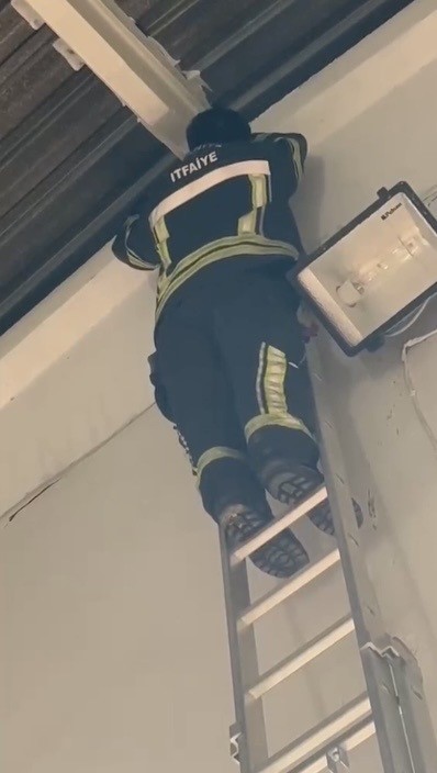 Ayağı ipe dolanan g&uuml;vercin, itfaiyenin m&uuml;dahalesiyle kurtuldu
